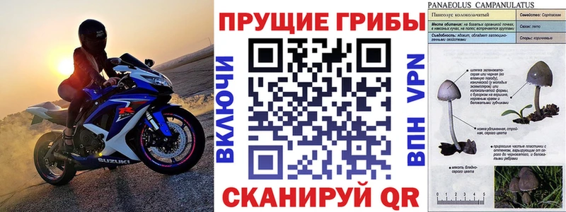 Псилоцибиновые грибы мицелий  наркота  ссылка на мегу сайт  Бобров 